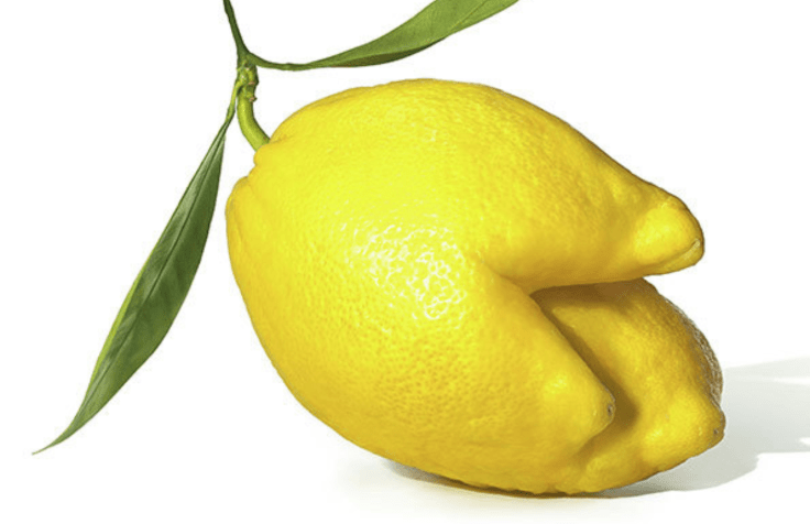 Is this an ugly lemon? 