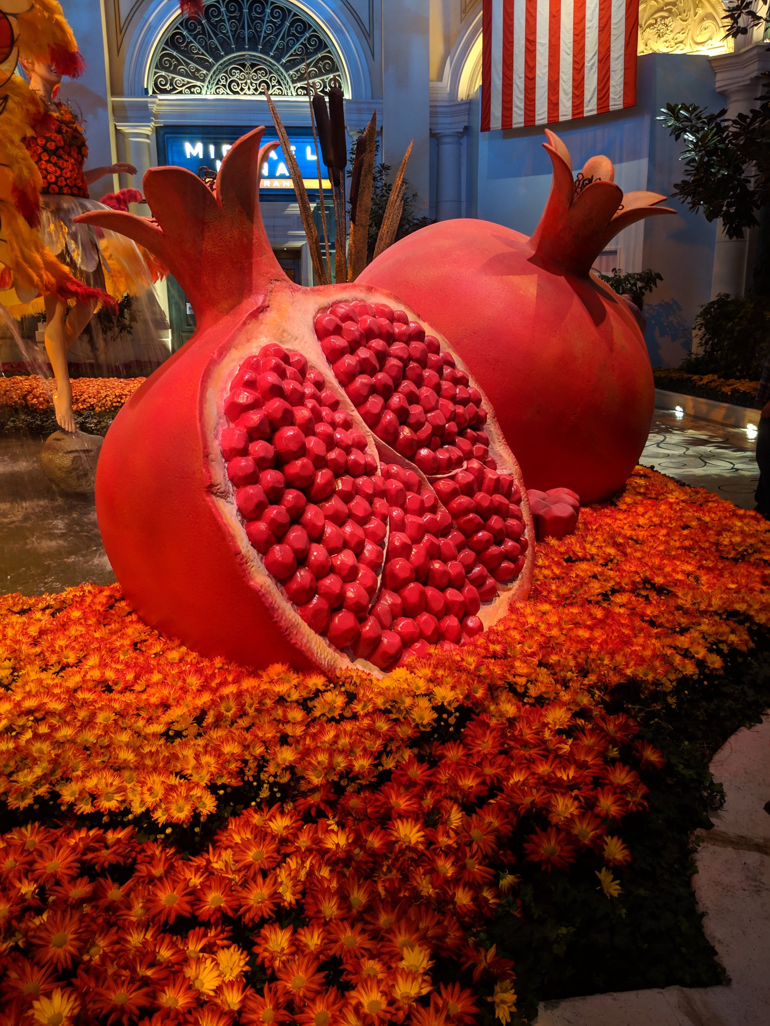 Fruits–good for me or&nbsp;not?