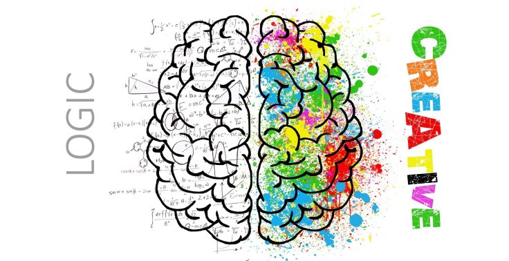 Brain