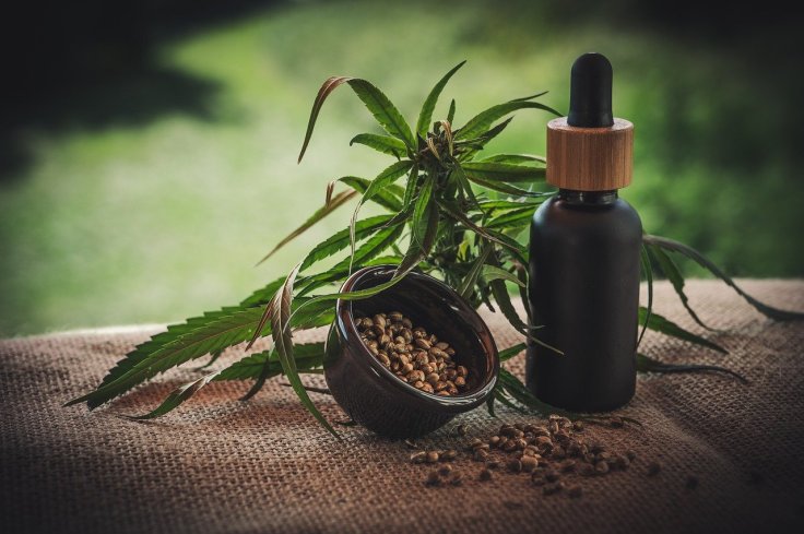 CBD and full-spectrum hemp extract continue to&nbsp;trend!