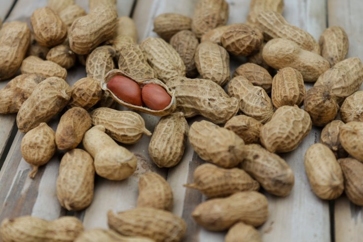 #DYK: Vitamin B5&nbsp;info