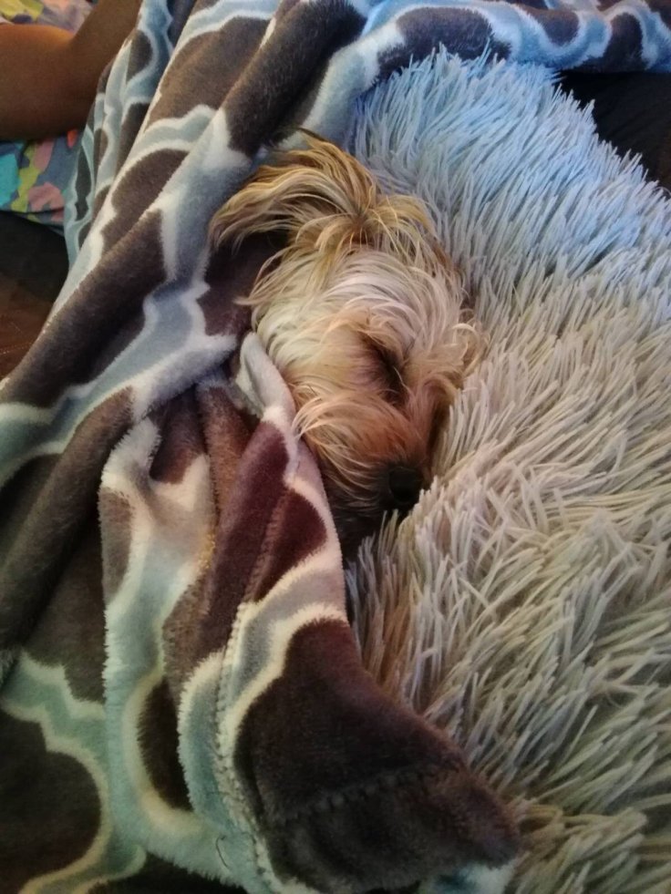 A full night’s&nbsp;sleep!