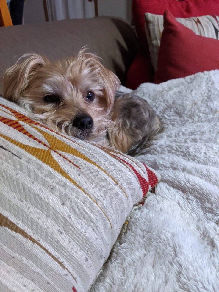 Moving Exhaustion