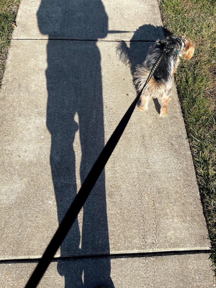 Walking your way to&nbsp;success