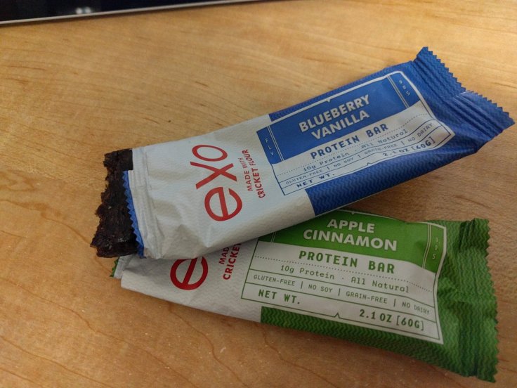 Cricket protein
