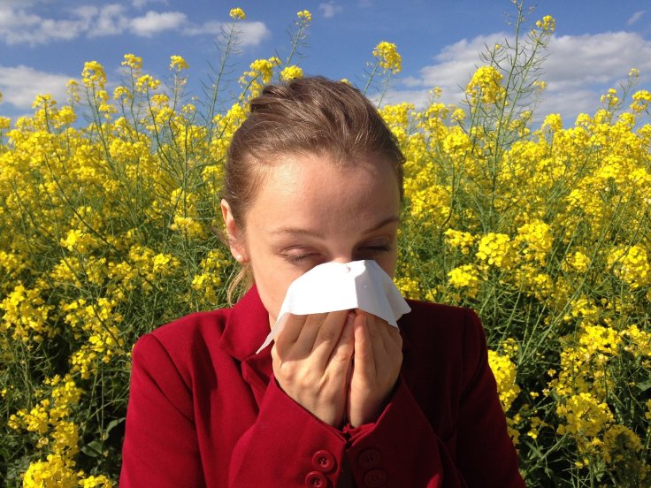 Spring allergies
