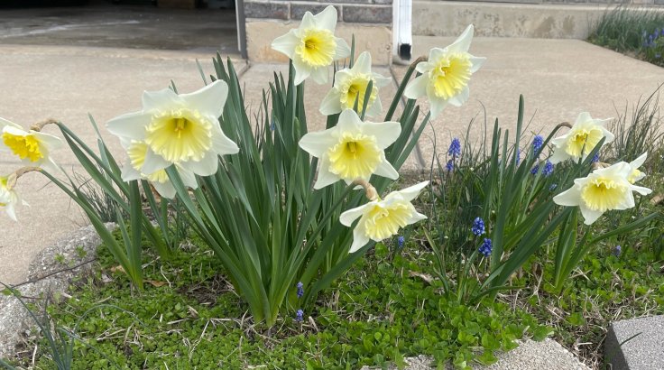 Spring and Sun