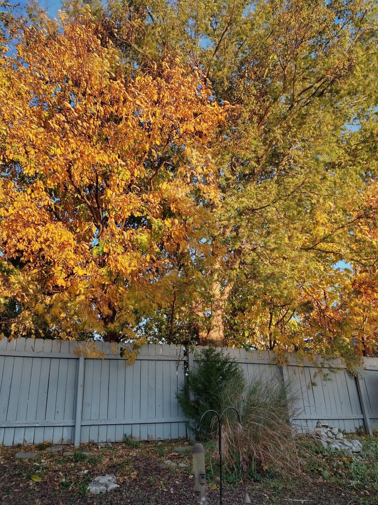 Five things to like about&nbsp;Fall