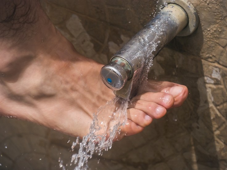 Water–what does it do for&nbsp;you?