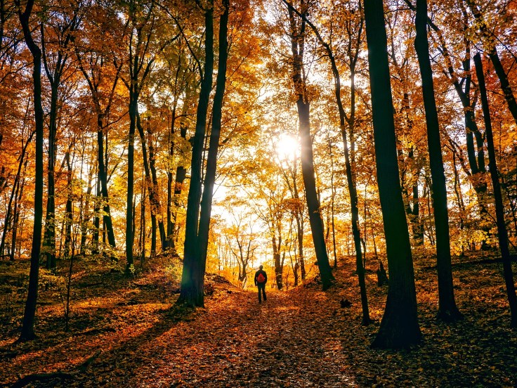 Fall weather